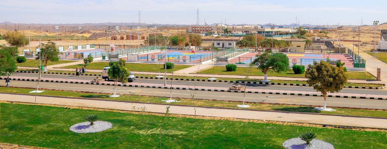 Terrain de jeu de l’Université d’Assouan